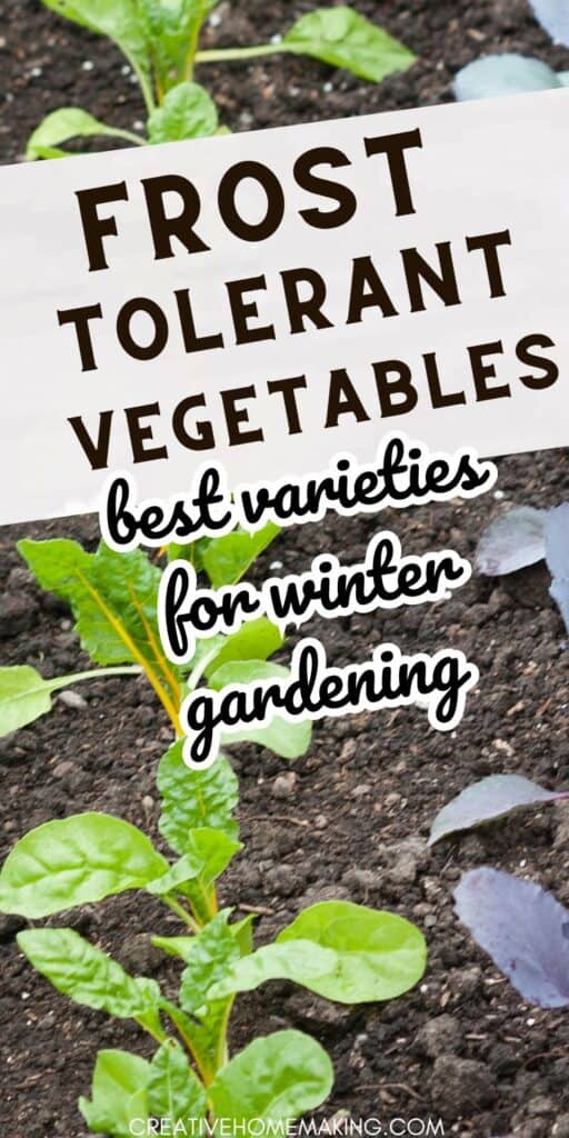 Looking for a way to extend your harvest season? Try planting frost tolerant vegetables in your garden! From kale to carrots, these hardy plants can withstand chilly temperatures and keep producing all winter long. Get inspired with our collection of frost tolerant veggies.