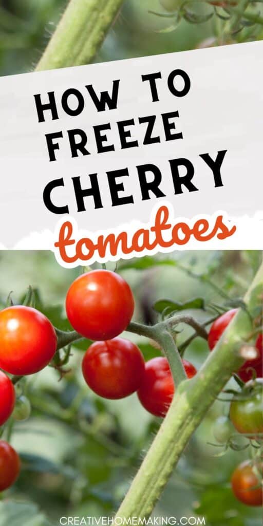 Preserve the peak freshness of cherry tomatoes by freezing them using our comprehensive step-by-step instructions. With our guide, you can ensure that your surplus harvest is stored effectively, allowing you to savor the taste of sun-ripened cherry tomatoes whenever you desire.