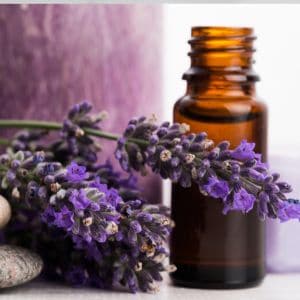DIY lavender oil: Follow this easy tutorial to create your own aromatic and versatile essential oil at home.
