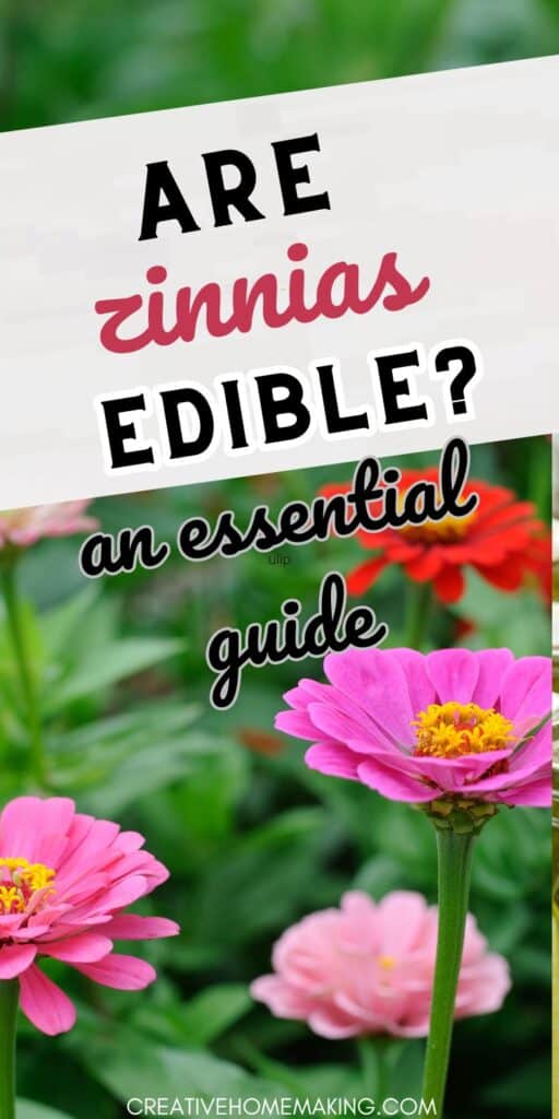 Are zinnias edible? Curious about zinnias and their edibility? Learn all about these beautiful flowers and whether they can be eaten, plus discover creative ways to incorporate them into your cooking.