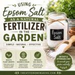 Learn how to use Epsom salt in the garden to help support healthier plants, bigger blooms, and better harvests. A simple gardening tip perfect for companion planting, container gardening, cottage garden flowers, and simple homemade living.