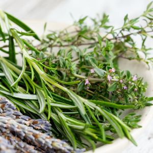 Discover the art of pruning rosemary with these simple tips and techniques. Keep your herb garden thriving with proper care and maintenance.