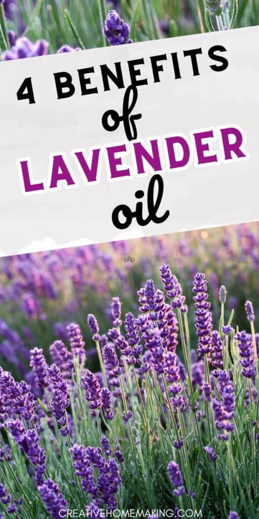 Discover the incredible benefits of lavender oil, including its soothing properties, stress-relief benefits, skin care uses, and natural sleep aid. Explore the many ways lavender oil can enhance your well-being and daily routine. 