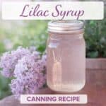 Learn how to make homemade lilac syrup with this easy canning recipe. Perfect for tea, lemonade, pancakes, waffles, and beautiful spring brunch ideas.