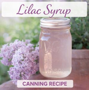 Learn how to make homemade lilac syrup with this easy canning recipe. Perfect for tea, lemonade, pancakes, waffles, and beautiful spring brunch ideas.