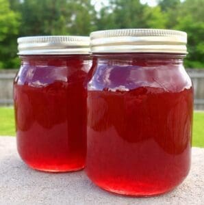 Strawberry Syrup Recipe (Easy Canning Recipe)