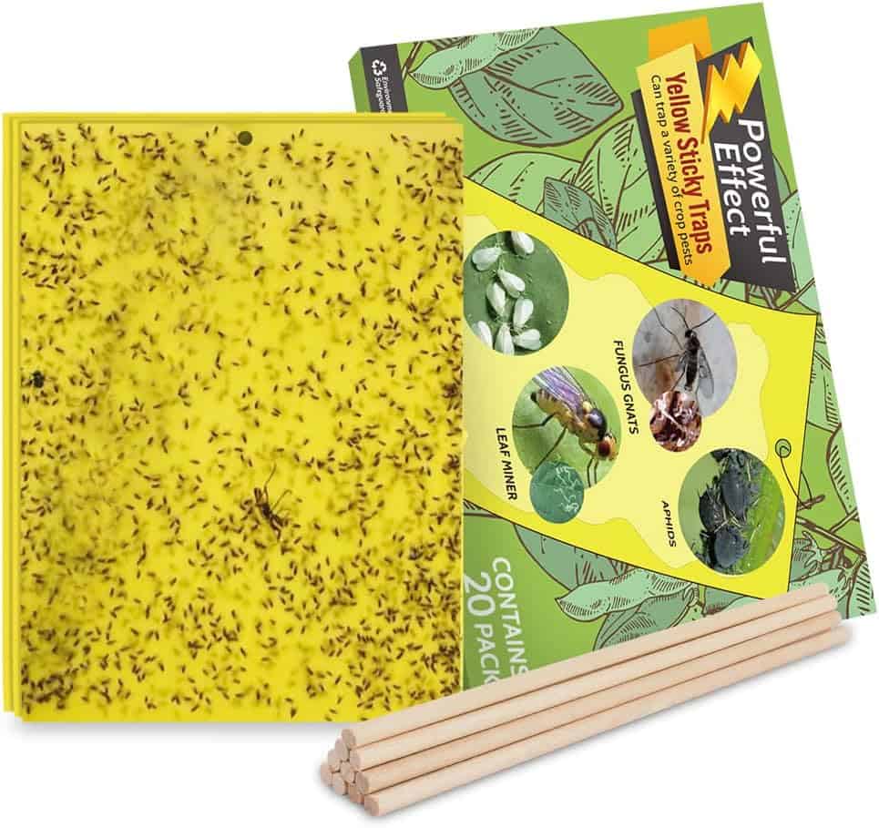 ruit Fly Trap, Yellow Sticky Gnat Traps Killer for Indoor/Outdoor Flying Plant Insect Like Fungus Gnats, Whiteflies, Aphids, Leaf Miners