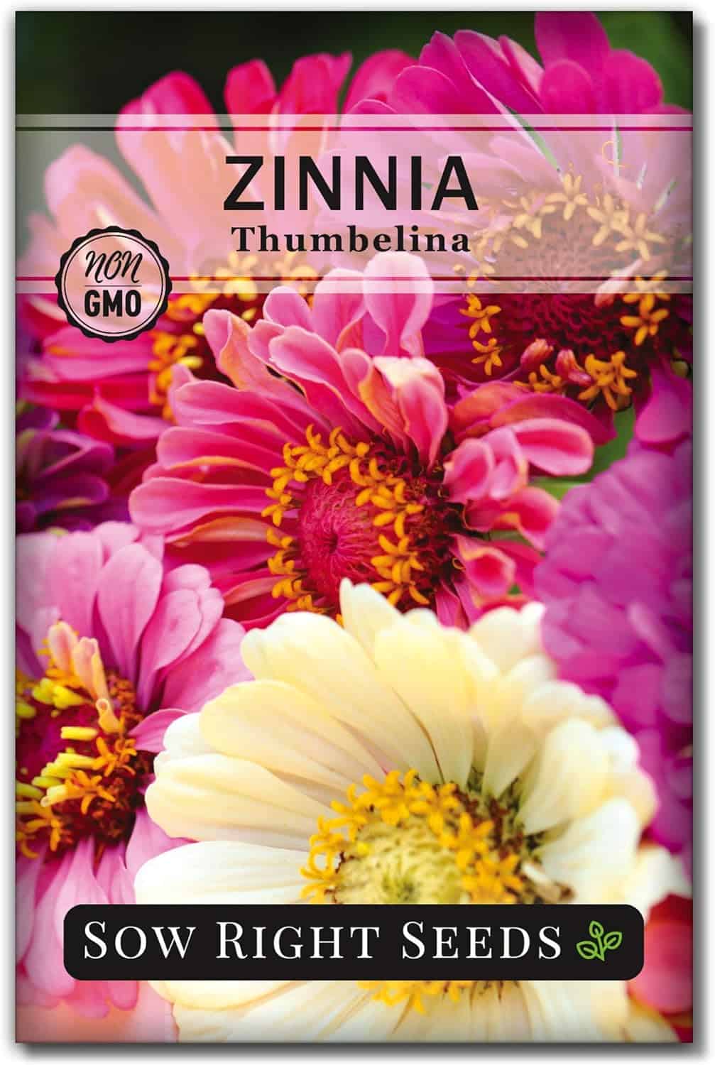 Sow Right Seeds - Thumbelina Zinnia Seeds for Planting - Beautiful to Plant in Your Flower Garden - Non-GMO Heirloom Packet with Instructions - Annual Cut and Come Again for Bouquets