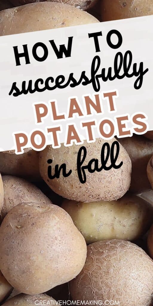 Looking to plant potatoes in the fall? We've got you covered! Explore our expert tips for a successful fall potato planting season. From soil preparation to harvesting, we'll help you grow the perfect spuds this autumn.