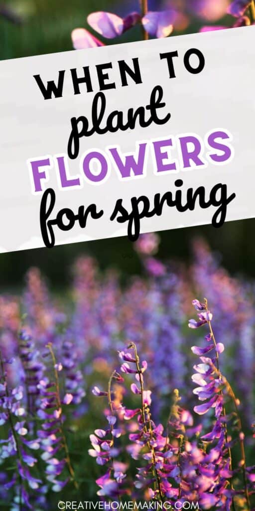 Dreaming of a colorful spring garden? Find out when to plant flowers for a stunning display of blossoms. Explore planting tips and ideas to create a beautiful and vibrant springtime oasis.