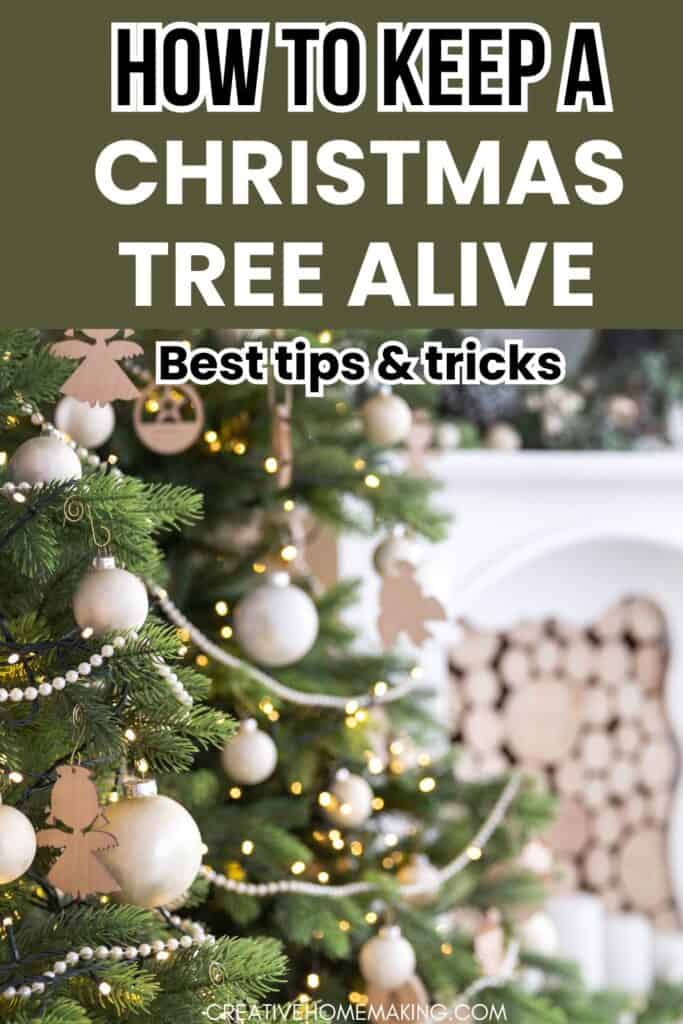 How To Keep Christmas Tree Alive 