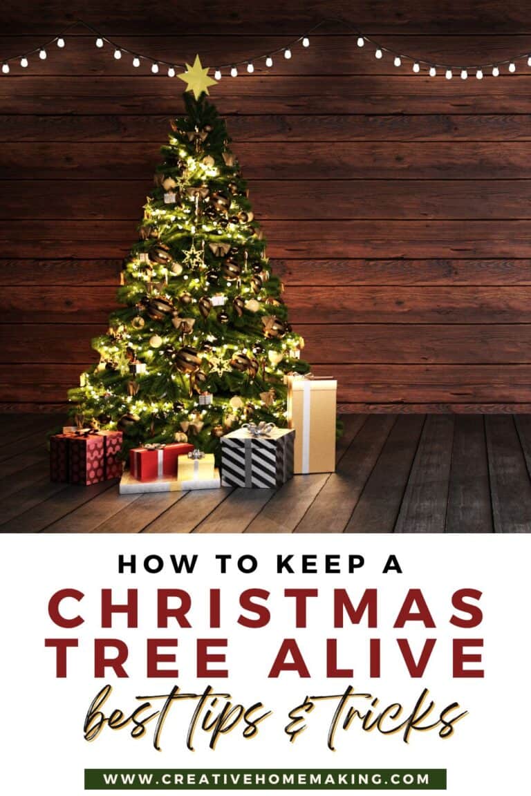 How to Keep a Christmas Tree Alive: Tips and Tricks for a Festive ...