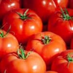 Explore the world of tomato plants with our guide to different varieties, from heirloom to hybrid. Find inspiration for your garden and discover the perfect tomatoes to grow at home.