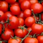 Unlock the full potential of cherry tomatoes with these creative ideas! From fresh salads and vibrant salsas to roasted delights and pasta dishes, discover how to transform these sweet gems into mouthwatering meals.