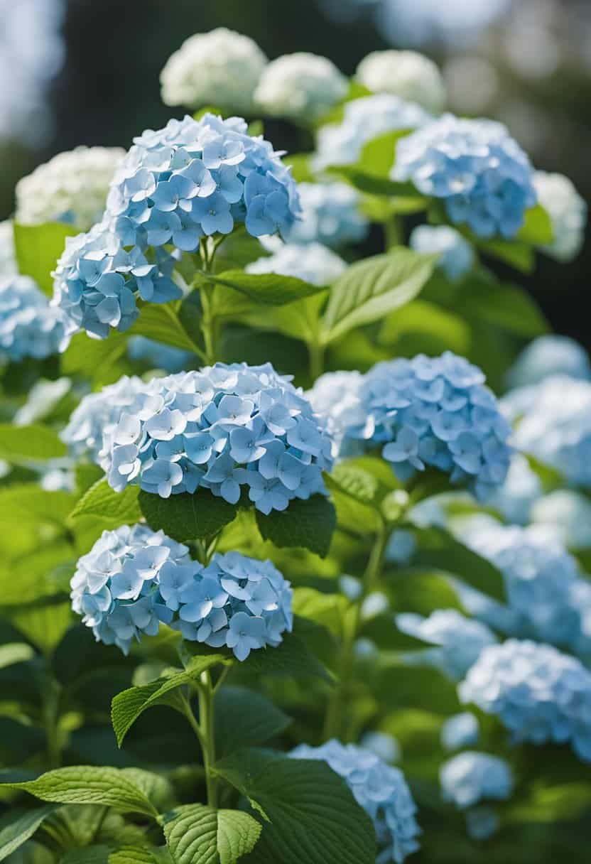 Master the art of deadheading hydrangeas with our expert tips and ensure a stunning display of flowers in your garden.