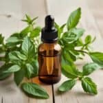 Glass dropper bottle with homemade lemon balm tincture surrounded by fresh lemon balm leaves