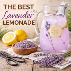 Lavender Lemonade Recipe (Perfect for Brunch & Tea Parties)