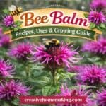 Design a pollinator-friendly space with these bee garden ideas using bee balm plant perennials. Learn bee balm garden design, companion plants for bee balm, and how tall does bee balm get.