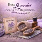 Struggling to grow lavender from seed? These beginner-friendly lavender varieties are the easiest to grow and perfect for first-time gardeners. Learn which seeds actually work!
