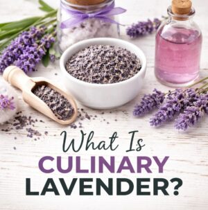 Not all lavender is safe for cooking! Learn what culinary lavender is, which type to use, and how to avoid a bitter or soapy taste.