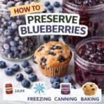 Got a lot of fresh blueberries? Learn how to preserve blueberries with easy methods like canning, freezing, and making blueberry jam. Plus delicious ideas like blueberry muffins, blueberry crisp, blueberry syrup, and more!