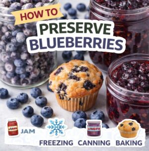 Got a lot of fresh blueberries? Learn how to preserve blueberries with easy methods like canning, freezing, and making blueberry jam. Plus delicious ideas like blueberry muffins, blueberry crisp, blueberry syrup, and more!